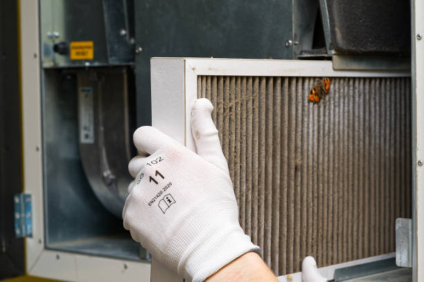 Best Professional Duct Cleaning Services  in Palmview, TX