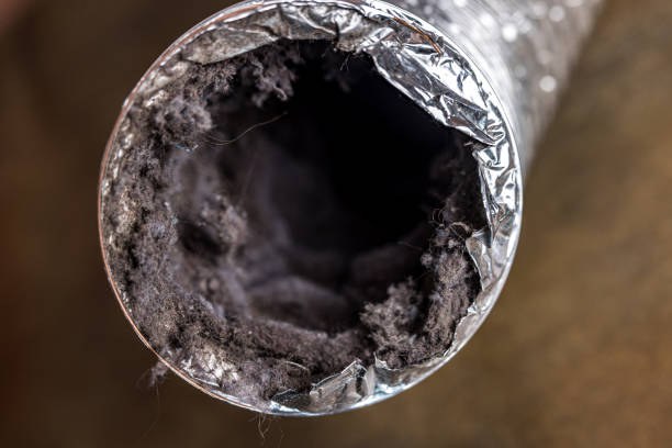  Palmview, TX Airduct Cleaning Pros